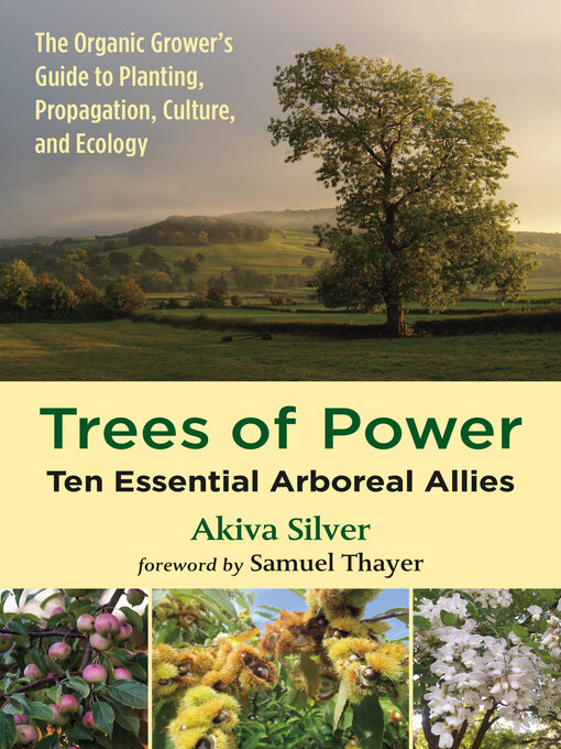Title details for Trees of Power by Akiva Silver - Available